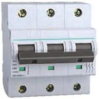 Disjoncteur électrique 3P AC230/400V de SL7-125 MCB