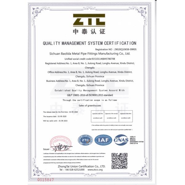 8m x 30m Galvanized Steel Single-Span Tunnel Greenhouse with PE Film