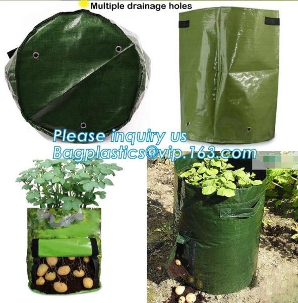 o patato/vegetal da planta de jardim cresce sacos, hotsales 2gallon os potenciômetros da tela que crescem sacos para a flor da planta crescem a batata o da planta do saco