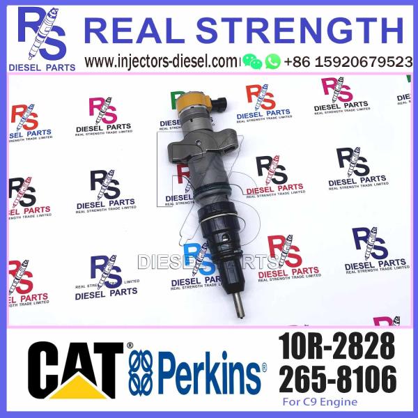 Fuel Injector 387-9436 3879436 10R2828 10R-2828 For Caterpillar C9 Engine 336 Excavator