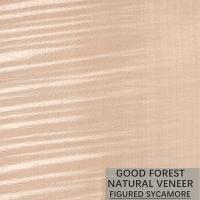 Sicômoro natural a madeira figurada folheia 0.3mm - 0.5mm para portas interiores