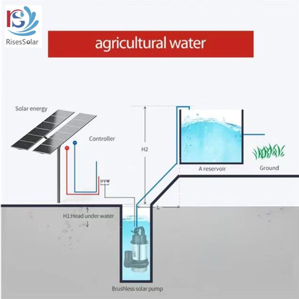 DC24v In-bulit Controller Solar Water Pump Submersible BLDC Motor Deep Well Solar Water Pump For Agriculture