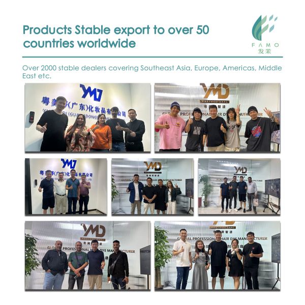 100ml Permanent Hair Dye Formula Harmless Non Irritating for Home