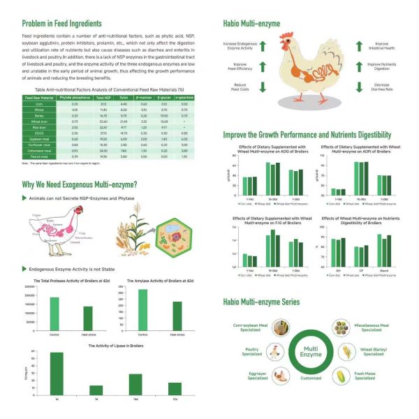 Complex Enzyme