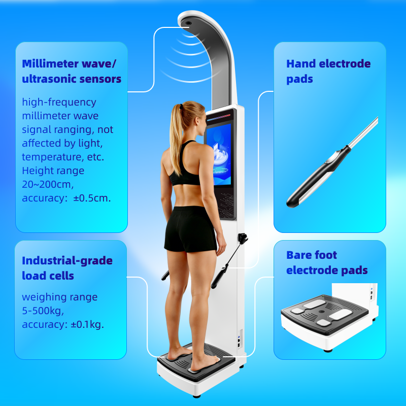 Hotsale Body Composition Analyzer for Gym and Home Use Analyzer Machine Bioelectrical Impedance with Thermal Printer