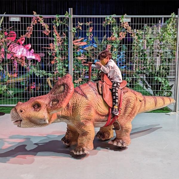 Electric Walking Dinosaur Ride Animatronic Triceratops Dinosaurs Ride for Children