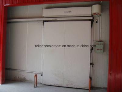 Porta deslizante manual padrão para refrigerante freônico de sala fria e opção de personalização