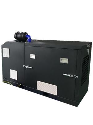20KW 25KVA LPG Generator Set , Liquefied Petroleum Gas Genset LPG 4 Cylinders Water Cooled