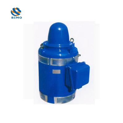 Premium Efficiency 3 Phase Induction Motor 30kw 380V 660V VHS Motor