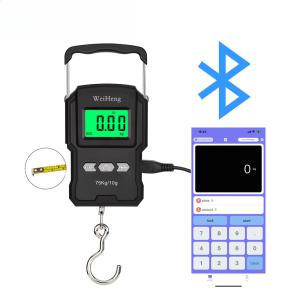 WeiHeng WH-A27 Balance suspendu numérique portable Bluetooth rechargeable par