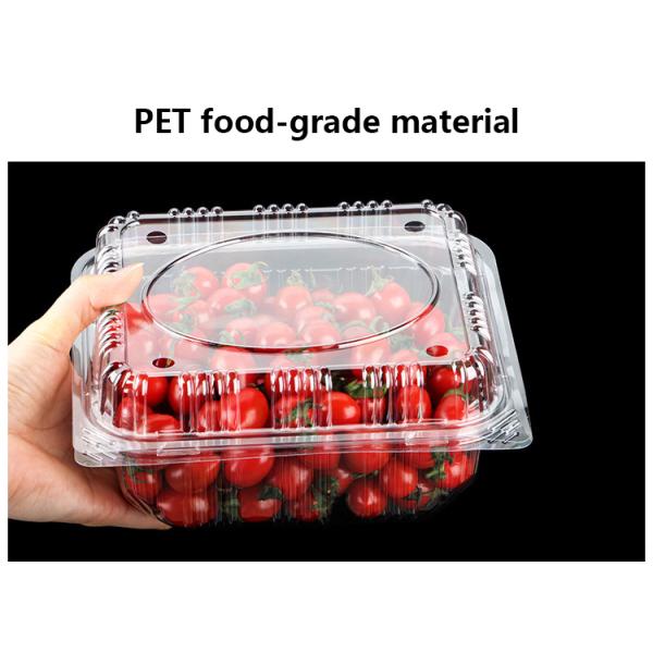 Customizable Disposable bowl with different material options suitable for various fruits and vegetables