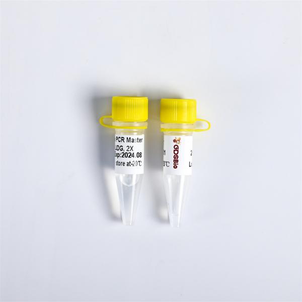2X Multiplex PCR Master Mix With UDG Logo Printing
