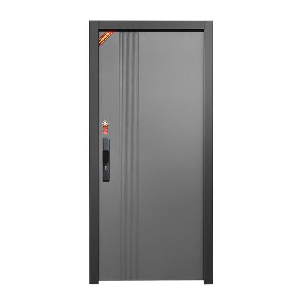 Modern Exterior Steel Door Thick Leaf for Residential Security Entry