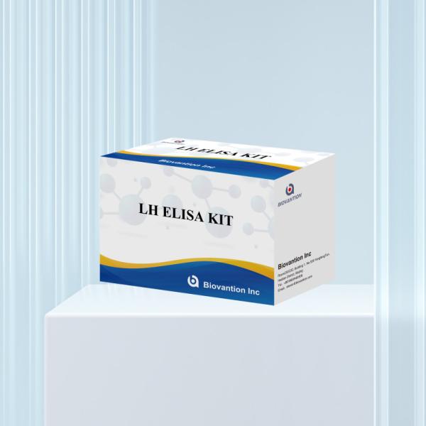 Biovantion ELISA Test Kit for diagnosis Human Luteinizing Hormone LH (Quantitative) hormones detect