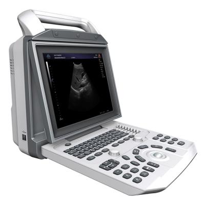 256 Gray Scale Ultrasound Machine with USB Connectivity and User-Friendly 68*44.5*24.5cm Packaging Size