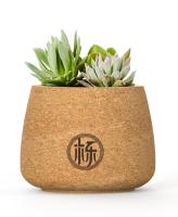 Succulents reutilizables del OEM FDA Cork Plant Pots Holder Flower biodegradables