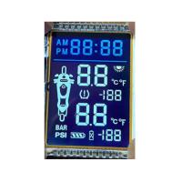 Exhibición del Lcd del segmento del dígito 7 de la reflexión 6, módulo del Lcd del positivo del TN pequeño