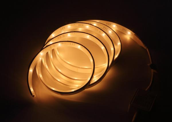 DC12V 2m Rgbw a mené la lumière de corde