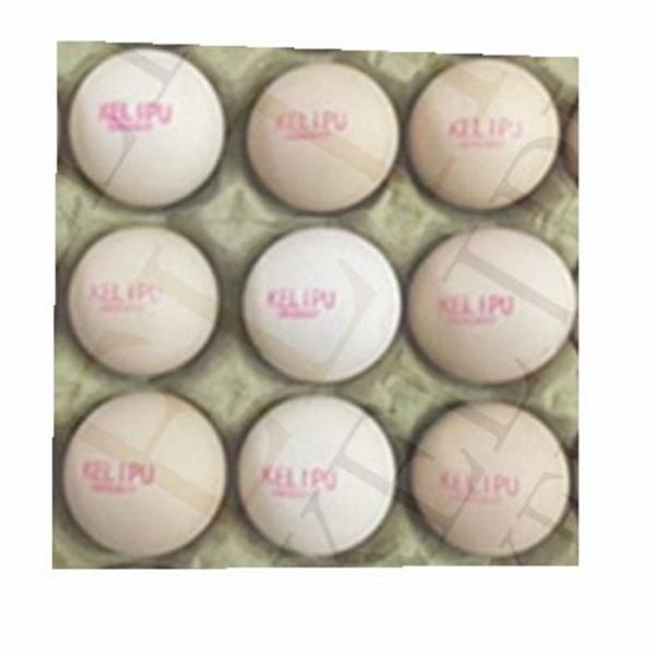Usb Flash Automatic Egg Stamping Machine Label Logo Print For Egg Owner