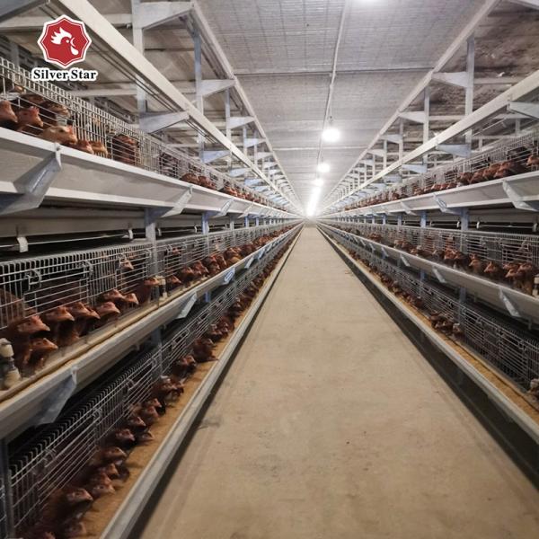 Poultry Farming Battery Chicken Cages System H Type Automatic Laying Hens Egg 8Tiers