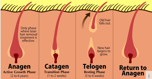 Freckle Removal LCD Laser IPL Hair Removal Machines For Acne Treatment