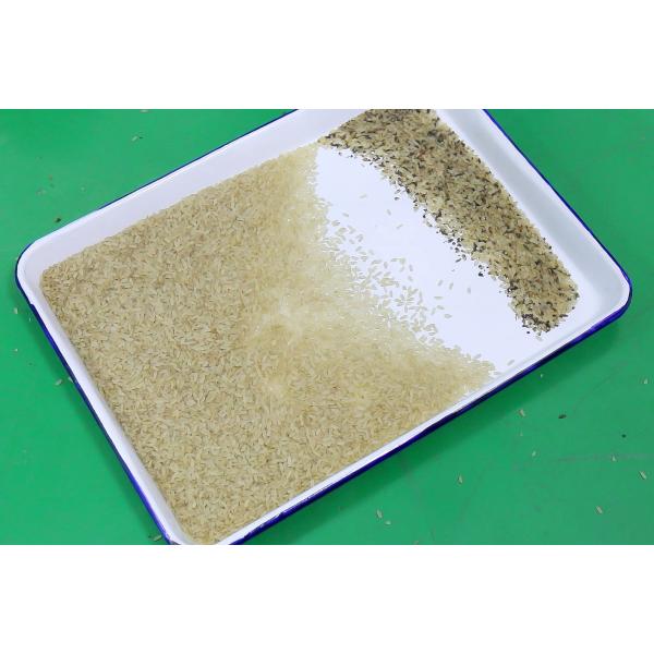 Color óptico del clasificador del color del arroz del CCD Carame de Wenyao que clasifica la máquina negra del clasificador del color del arroz