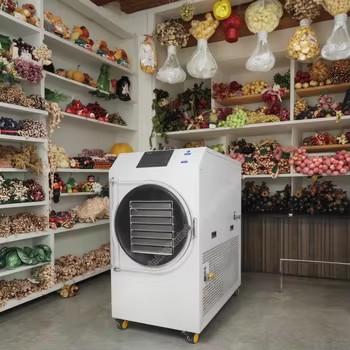 Freeze Dryer Machine Vegetable Freeze Dryer Fish Freeze Dryer Meat Freeze Dryer Machine
