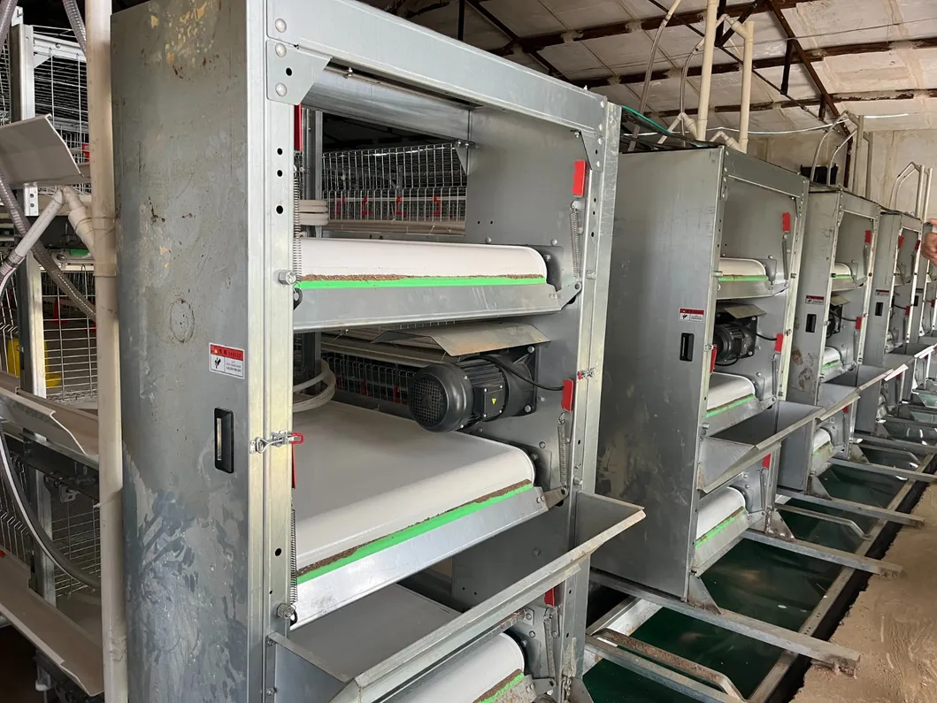 Galvanized Steel Automatic Poultry Farm Equipment Chicken Battery Cage H Type