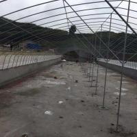 Double Arch Polyethylene Film Greenhouse Agriculture Multi Span Greenhouses