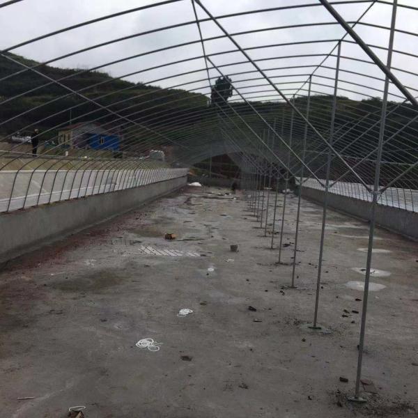 二重アーチのポリエチレン フィルムの温室の農業の多スパンの温室