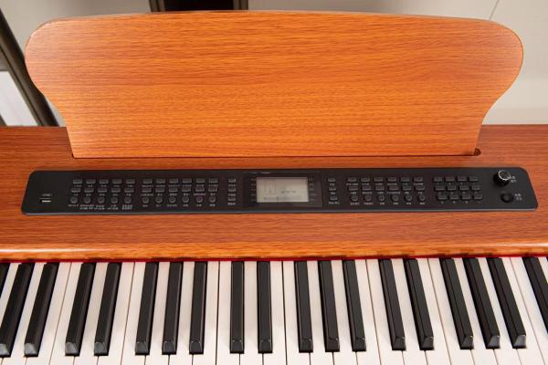 Black Polish 88KEYS Digital Piano CDG1000B with LCD Screen  sales of digital pianos, on the other hand, have gone up 50%