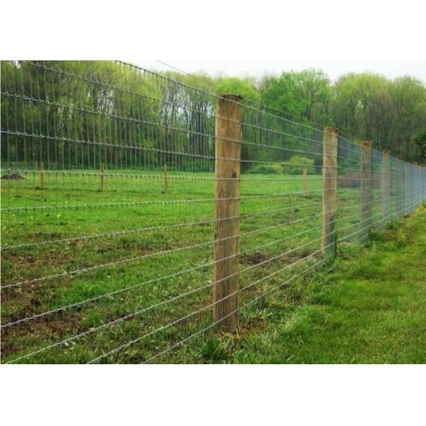 Protection Electro Galvanized Steel Cattle Fence , Deer / Grassland Wire Fence