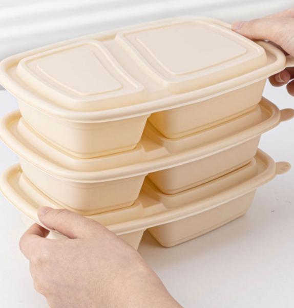 Biodegradable PLA Disposable Tableware 100% Eco Friendly