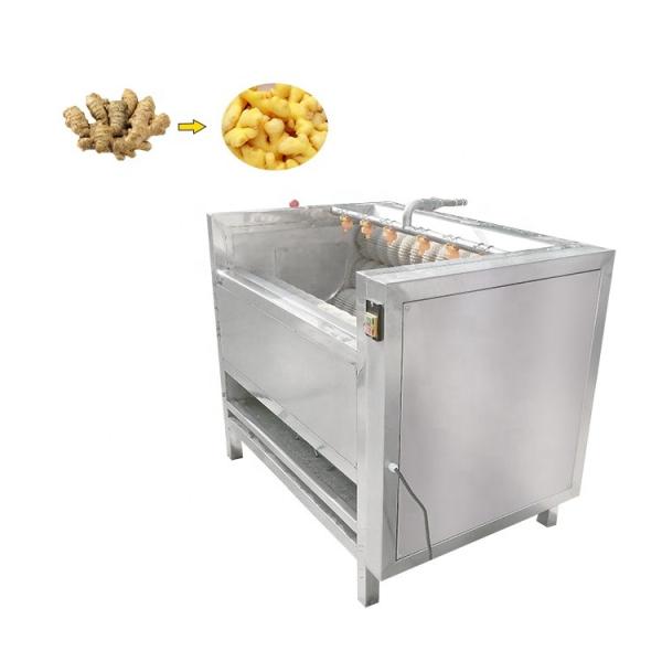 Automatic fish wash machine fish washing machine fish  cleaning machine