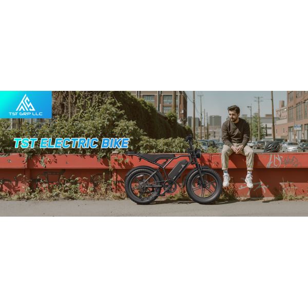 CE UL Certified UK Stock R002 48V 15A Lithium All Terrain Fat Tire E-Bike Dual Suspension Electric Mountain Bike Rear Hub Motor