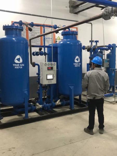 Carbon / Stainless Steel PSA Nitrogen Generator For Pharmaceutical / Medical