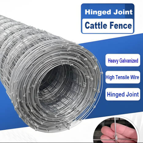 Electro Galvanized Grassland Fencing Hinge Joint 1.8m Height 100m Length Pasture Fence Roll