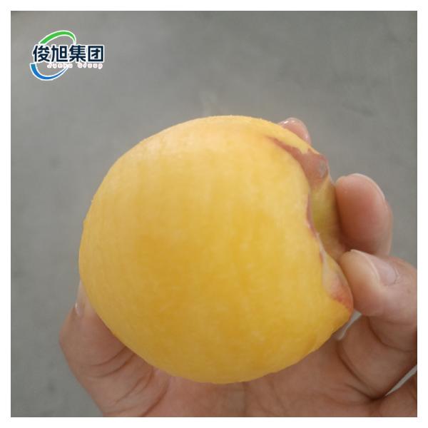 Профессиональный прочный спиральный ореховой очиститель для очистки фруктов и овощей