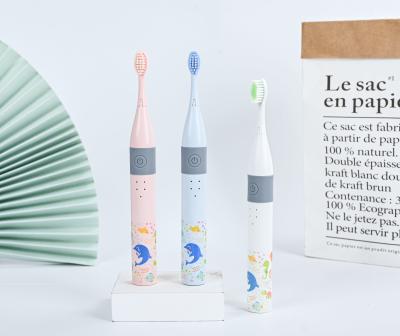Rechargeable Travel Electric Toothbrush USB Charging With IPX7 And 500mAH Battery