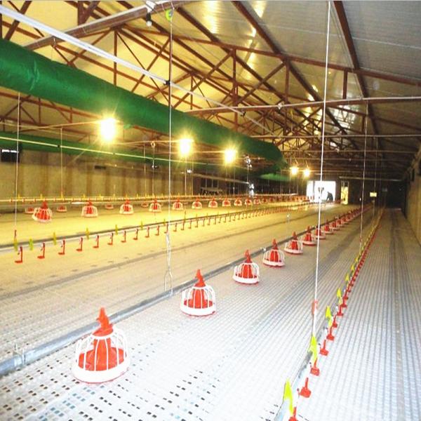 galinha de 380v 3phase que aumenta o equipamento, gaiola de bateria da galinha ISO9001