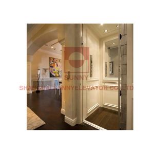 400kg лифт нагрузки SUS304 гидравлический молчаливый жилой домашний для дома виллы