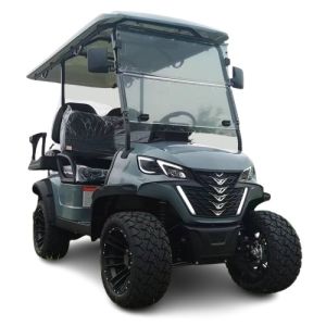 Электрический гольф-коляска с 4-местным лимузином, оборудованный батареей мощностью 3,5 кВт