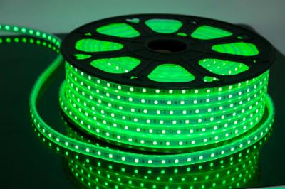 Waterproof Neon LED Flex Strip Rope Light DC12 / 24V / 120V / 110V / 220V 168LEDs/m