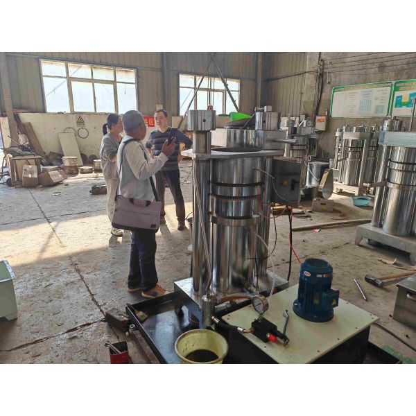 Highly efficient Dry Floating Fish Feed Pellet Processing Line 200kg/H-6000kg/H Animal Pet Cat Dog Food Making Extruder Machine