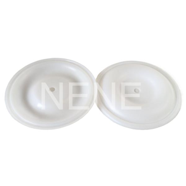 Husky 1050 Series 1Inch Nitrile/Santoprene/PTFE Diaphragm repair accessories