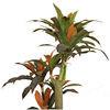 Artificial Agave Plant Potted Plants, Artificial Plant Perfect for Home Office Indoor Decoration