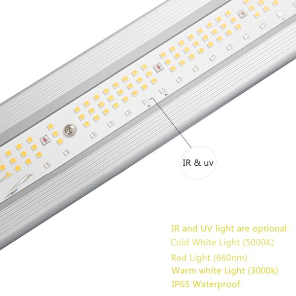 Lm301h 1000 Watt Full Spectrum Led Grow Lights Hydroponic 43 Inch