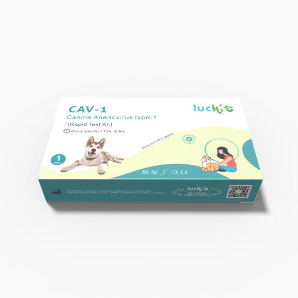 Canineadenovirus Type 1 CAV-1 Pet Rapid Test DOG Test Kit Class I Fast Reaction Rapid