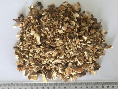 O Shiitake desidratado cresce rapidamente tamanho dos grânulo 10x10mm com gosto natural