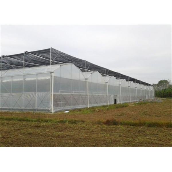 Shouguan Plastic Film Greenhouse 150 / 200micro PE Film Covering Easy To Clean